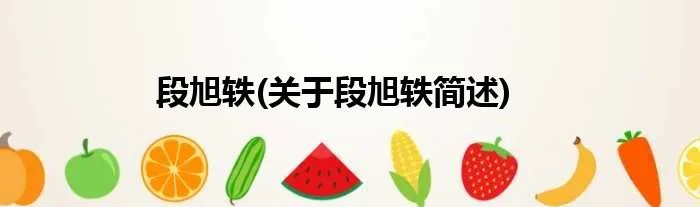 段旭轶(关于段旭轶简述)