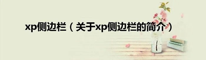 xp侧边栏（关于xp侧边栏的简介）