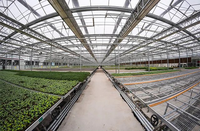 大棚镀锌管规格有哪些 大棚用多大的镀锌管合适