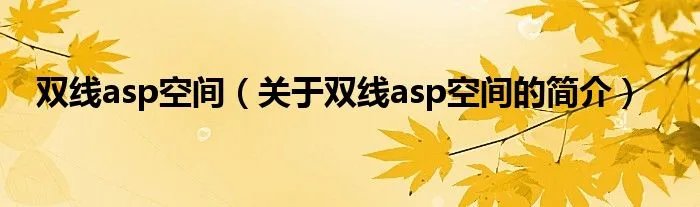 双线asp空间（关于双线asp空间的简介）