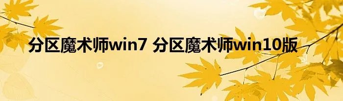 分区魔术师win7 分区魔术师win10版