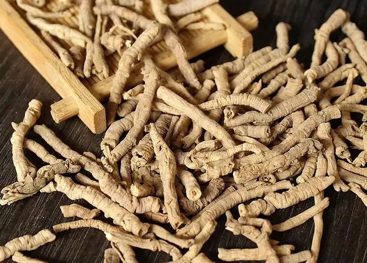 远志的功效与作用