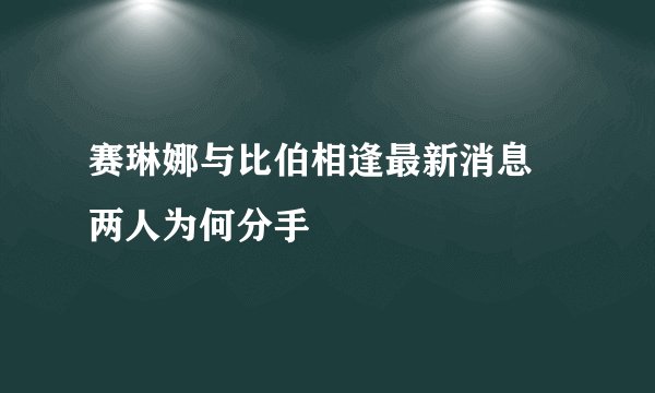 赛琳娜与比伯相逢最新消息 两人为何分手