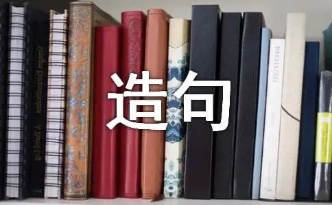 用懂字的组词及造句