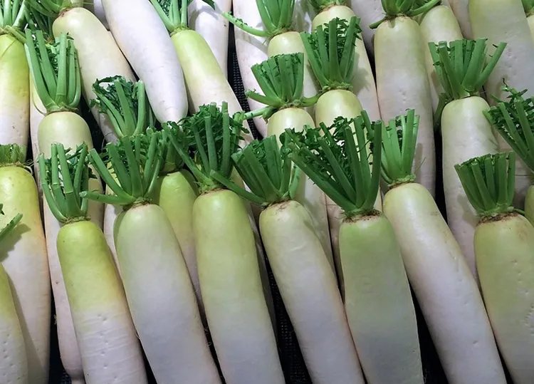 白萝卜的功效与作用
