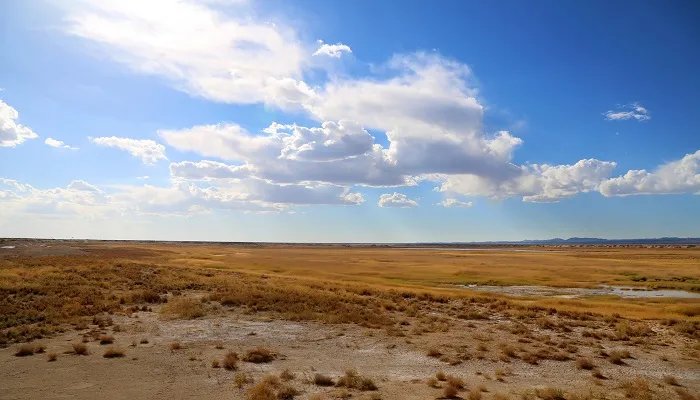 戈壁是什么意思 戈壁指的是什么