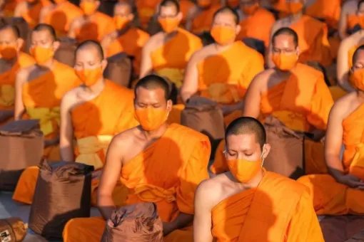 比丘是什么意思