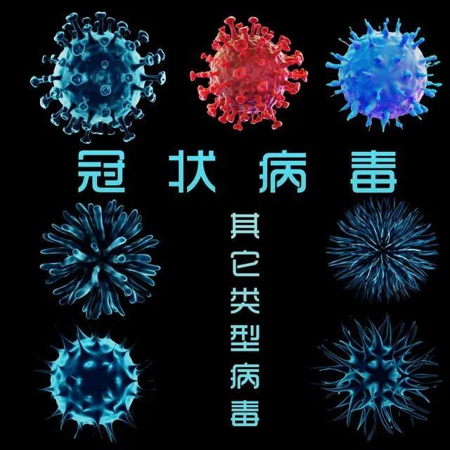 这次南京疫情什么时候才能结束？