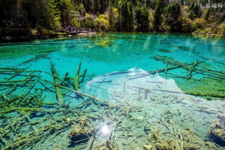 九寨沟景区暂关闭 暂停接待游客的原因曝光