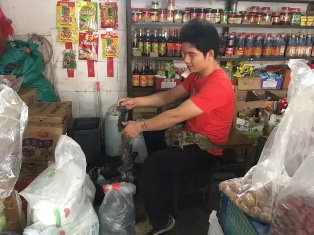 鸡蛋滴鼠药被买走 店主负责任满城寻找