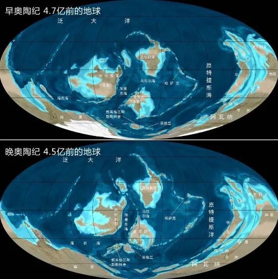 地球一共灭亡了几次(已经历5次生物大灭绝)