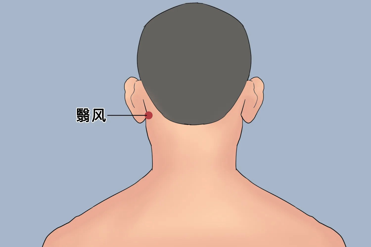 面瘫针灸的部位图