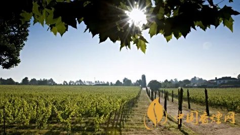 波尔多红酒价格表大全 波尔多红酒多少钱一瓶?