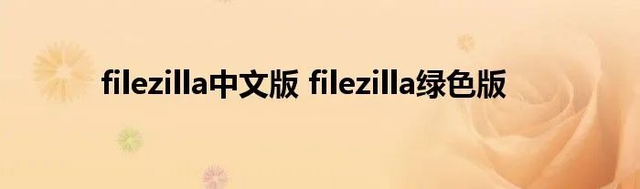 filezilla中文版 filezilla绿色版