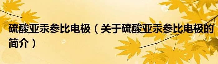 硫酸亚汞参比电极（关于硫酸亚汞参比电极的简介）