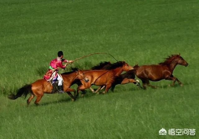 大西北有哪些旅游的好地方?