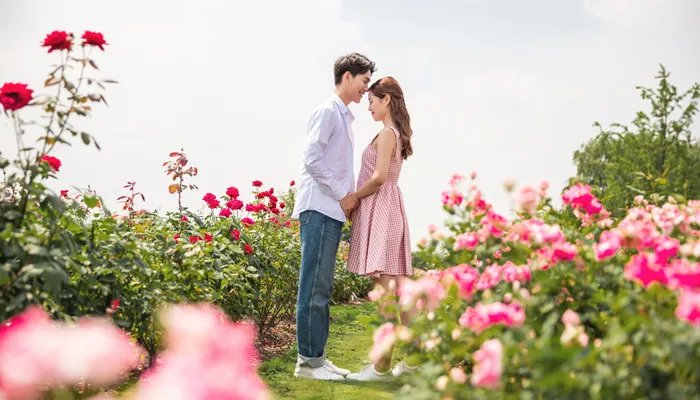 最准的12星座配对表 12星座配对