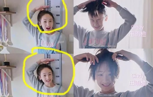 森蝶快一米七了：森蝶多大了近照及资料简介