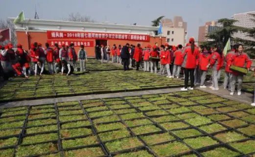 青少年为何要在楼顶植绿？