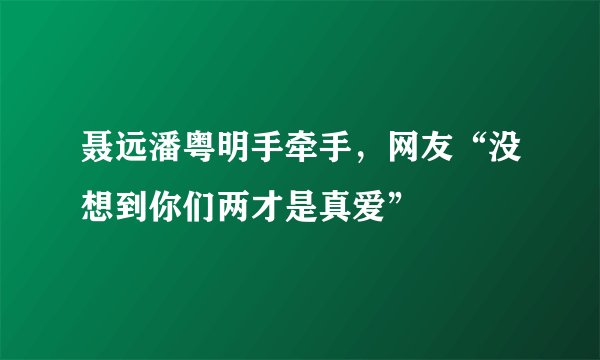 聂远潘粤明手牵手，网友“没想到你们两才是真爱”