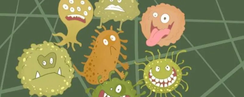 巴氏杀菌和高温杀菌的区别 巴氏杀菌和高温杀菌的区别有哪些