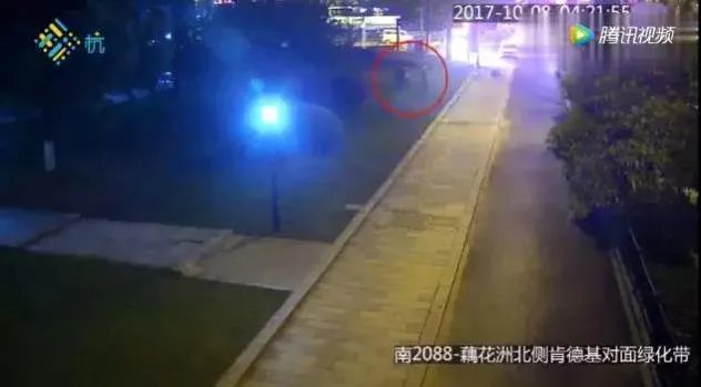 三小伙盗窃后救人：救人的和偷窃的是同一伙人