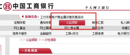 怎么在网上捐款
