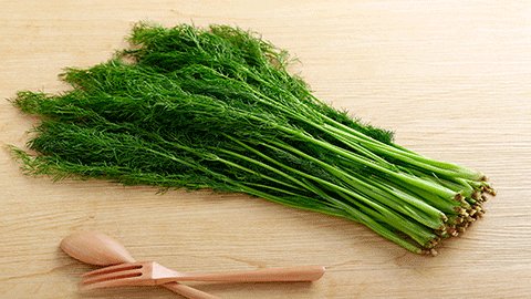 茴香菜的功效与作用