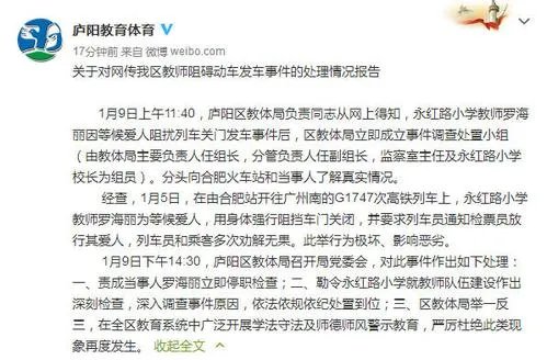 阻拦高铁女子被罚，处罚力度足以让人信服吗？