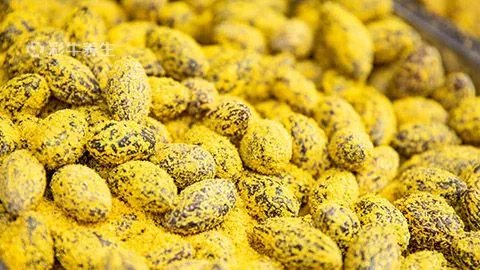 橄榄果的功效与作用