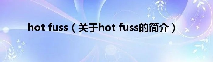 hot fuss（关于hot fuss的简介）
