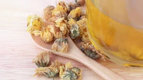 菊花枸杞决明子茶的功效与作用