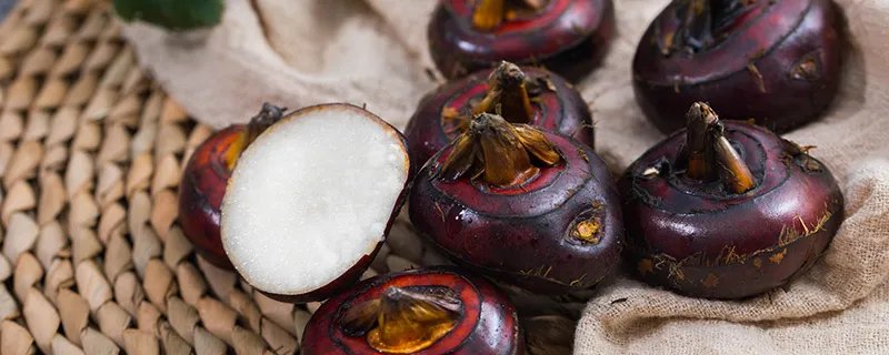 马蹄是什么 马蹄又叫什么名字