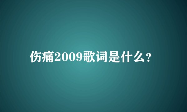 伤痛2009歌词是什么？