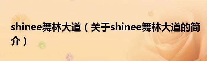 shinee舞林大道（关于shinee舞林大道的简介）