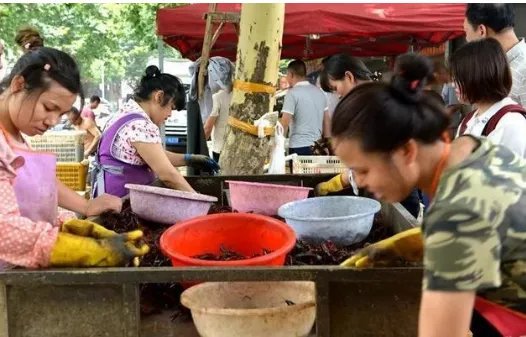 岳阳龙虾高速发展是怎么做到的？