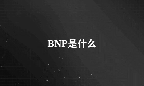 BNP是什么