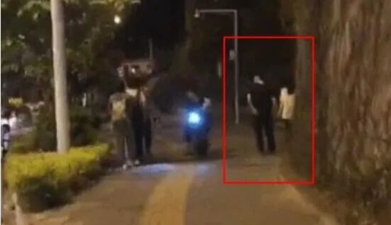 赵丽颖带儿子现身 儿子想想正面照首曝光像极了妈妈