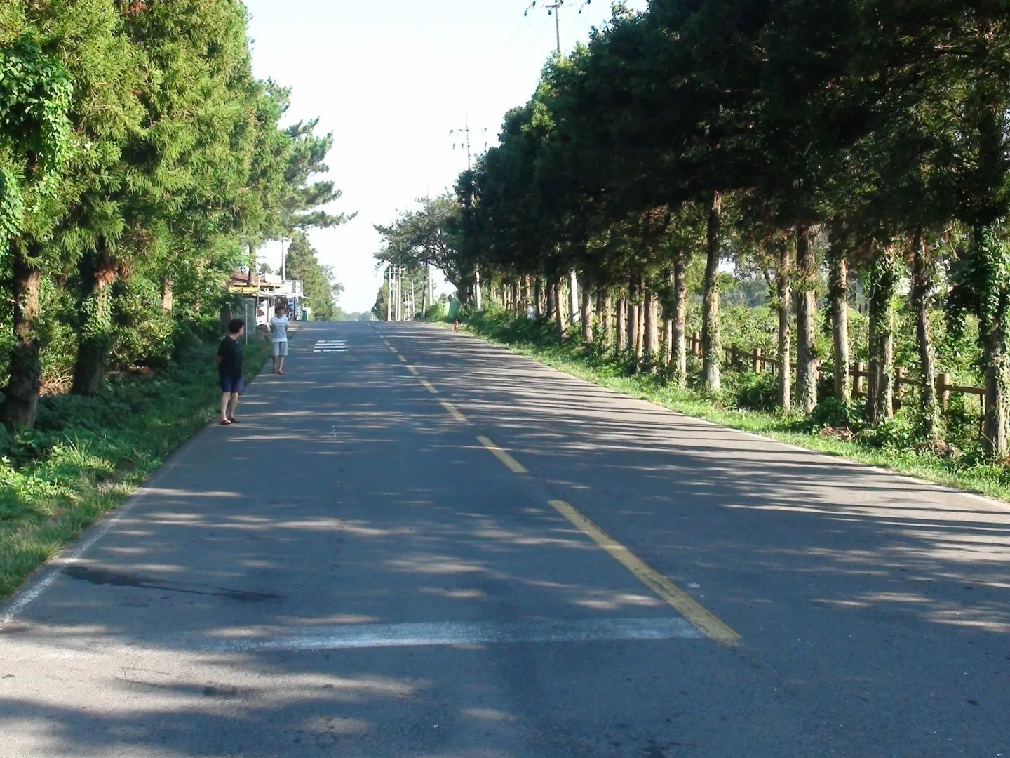 为什么韩济州岛游客减少？