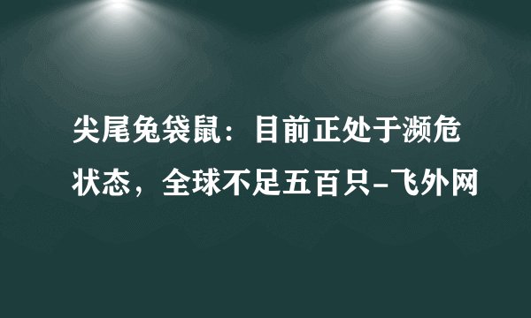 尖尾兔袋鼠：目前正处于濒危状态，全球不足五百只-飞外网