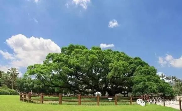 福州人的休闲娱乐方式有哪些？