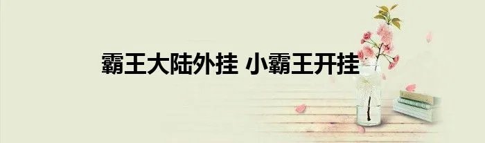 霸王大陆外挂 小霸王开挂