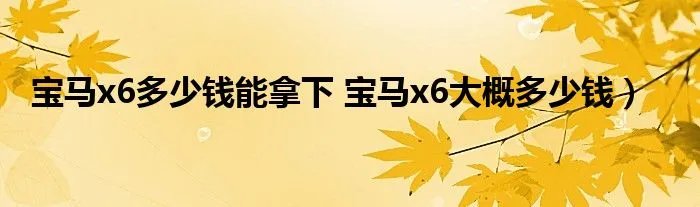宝马x6多少钱能拿下 宝马x6大概多少钱）