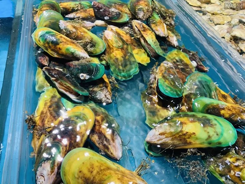 两种小海鲜近期千万别吃 消费者要注意啦