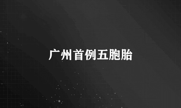 广州首例五胞胎