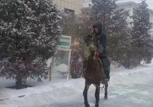 雪天骑马撞人逃逸将受到什么处罚？