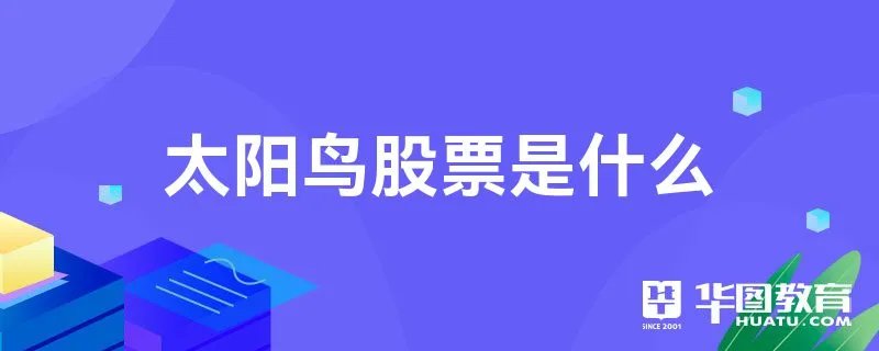 太阳鸟股票是什么