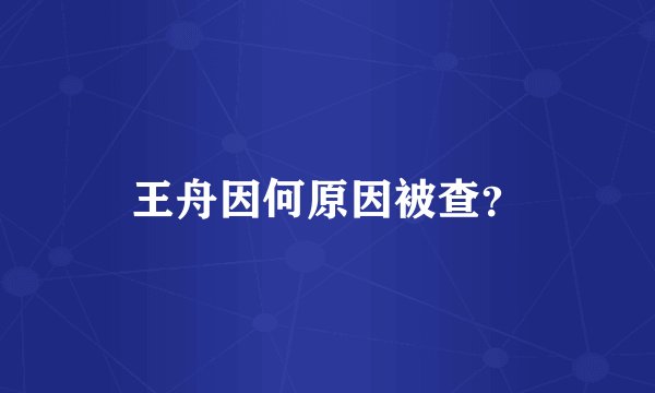 王舟因何原因被查？