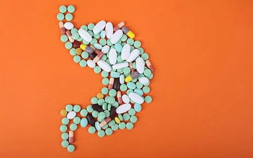 胃在哪个位置图 胃的位置图 胃的结构图