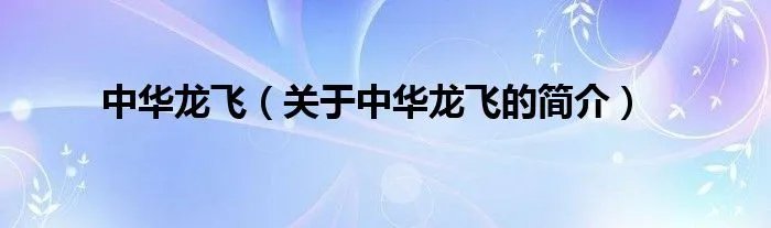 中华龙飞（关于中华龙飞的简介）